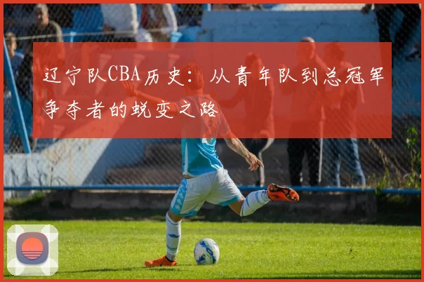 辽宁队CBA历史：从青年队到总冠军争夺者的蜕变之路