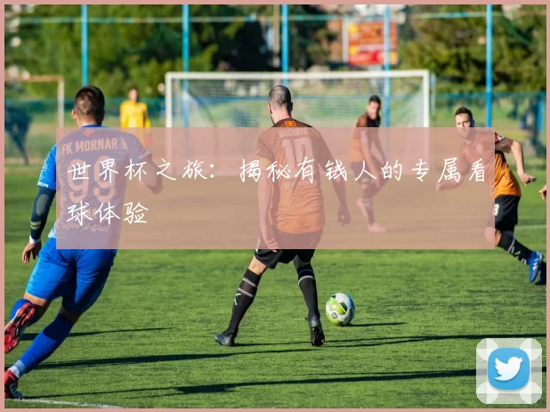 世界杯之旅：揭秘有钱人的专属看球体验