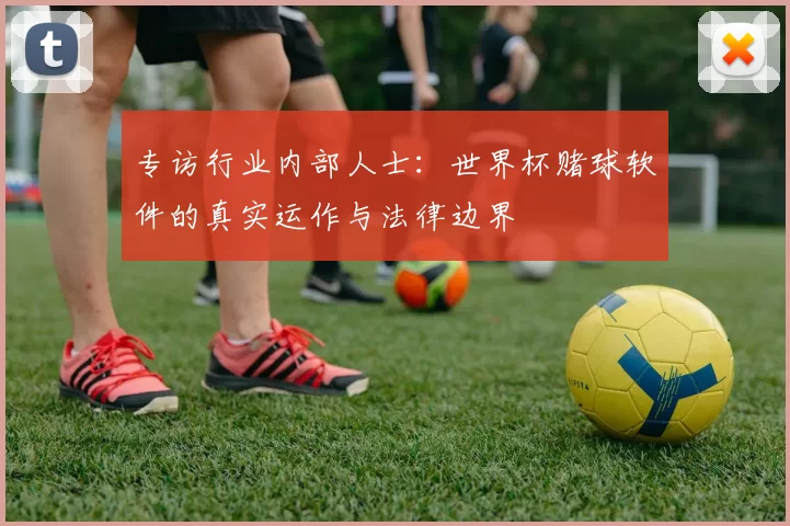 专访行业内部人士：世界杯赌球软件的真实运作与法律边界