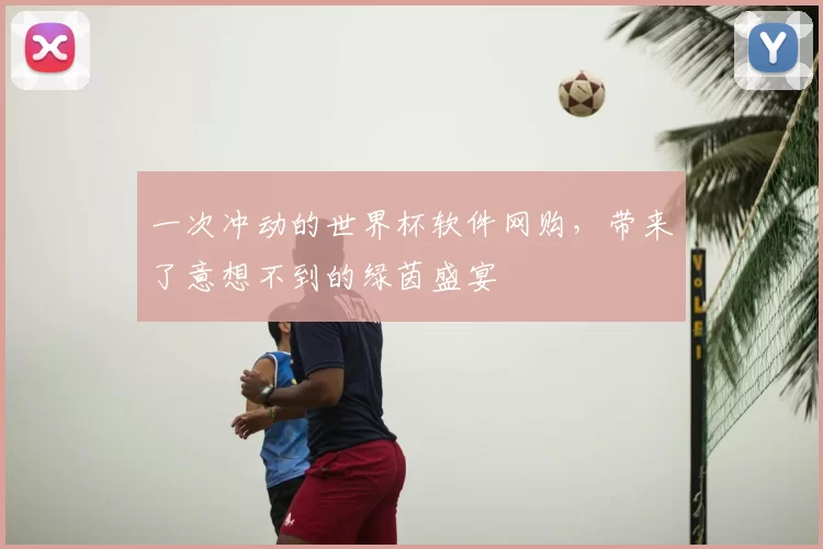 一次冲动的世界杯软件网购，带来了意想不到的绿茵盛宴