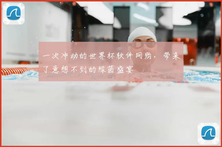 一次冲动的世界杯软件网购，带来了意想不到的绿茵盛宴