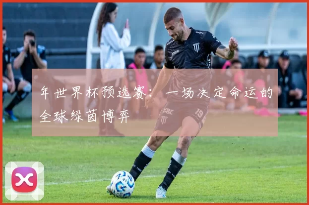 年世界杯预选赛：一场决定命运的全球绿茵博弈