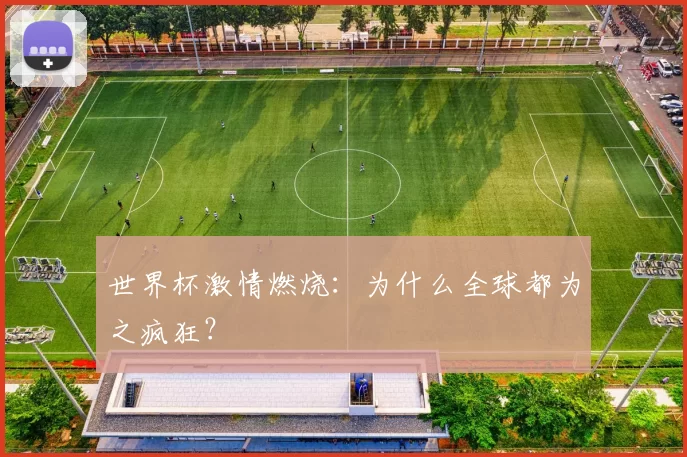 世界杯激情燃烧：为什么全球都为之疯狂？