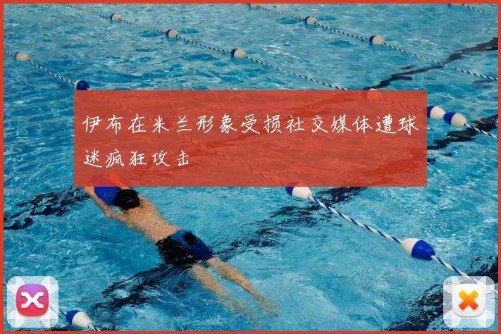 伊布在米兰形象受损社交媒体遭球迷疯狂攻击
