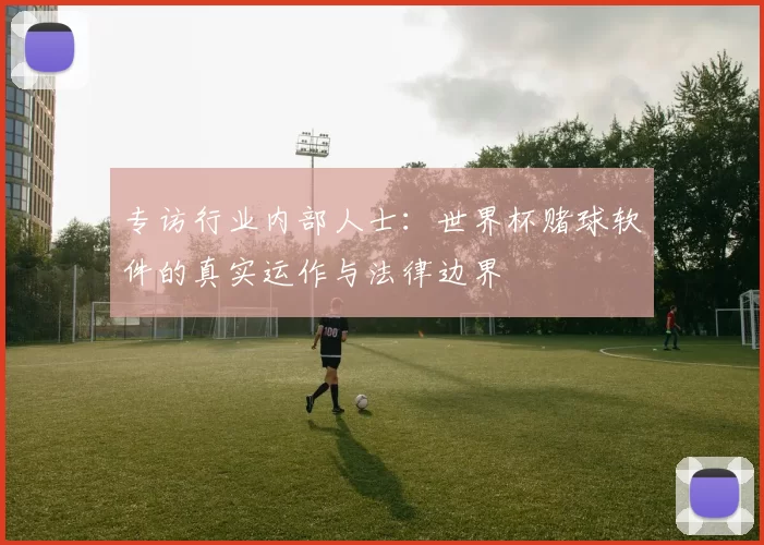 专访行业内部人士：世界杯赌球软件的真实运作与法律边界