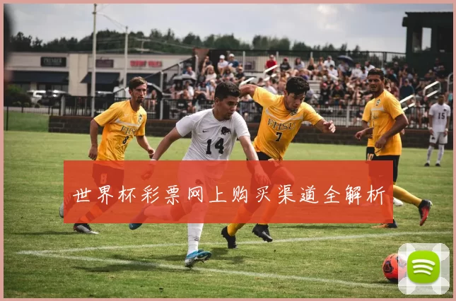 世界杯彩票网上购买渠道全解析