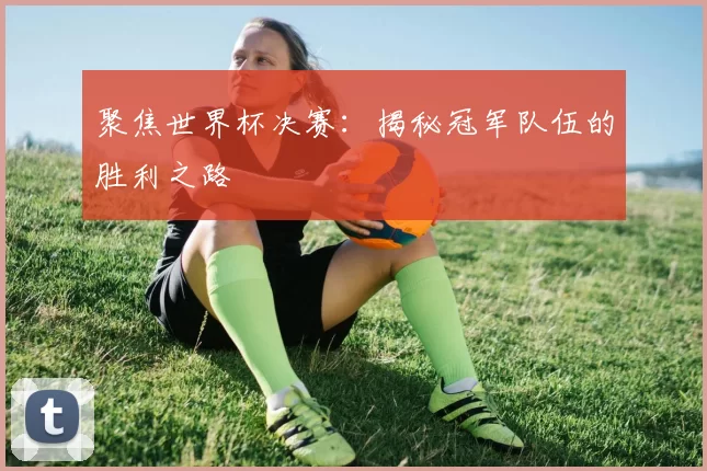 聚焦世界杯决赛：揭秘冠军队伍的胜利之路
