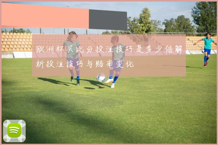 欧洲杯买比分投注技巧是多少倍解析投注技巧与赔率变化